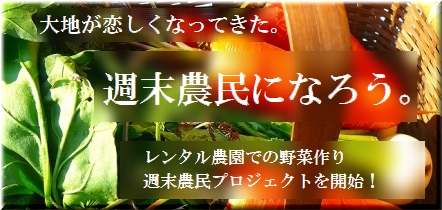 大地が恋しくなってきた。週末農民になろう。レンタル農園での野菜作り。週末農民プロジェクトを開始！