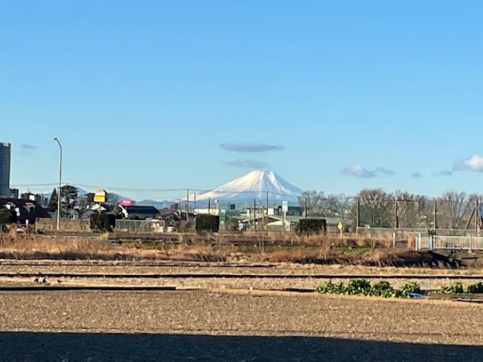 成人の日に思う