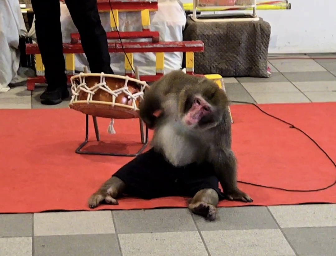 「腰が痛くてのう～🐒」