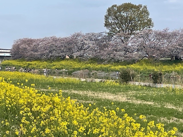 幸せの時間