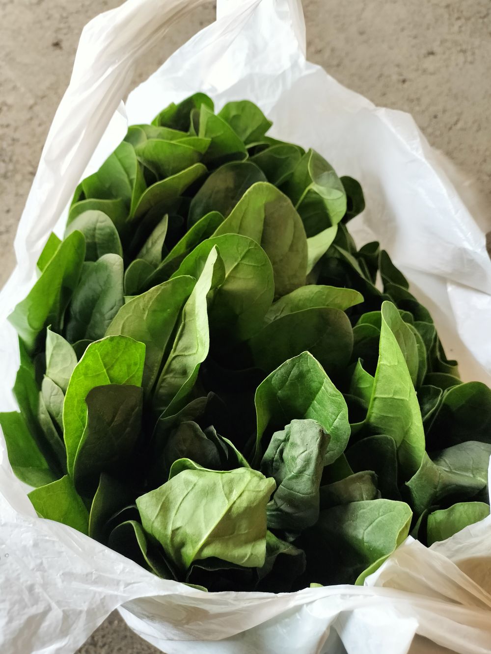 ほうれん草いただきました(^o^)丿