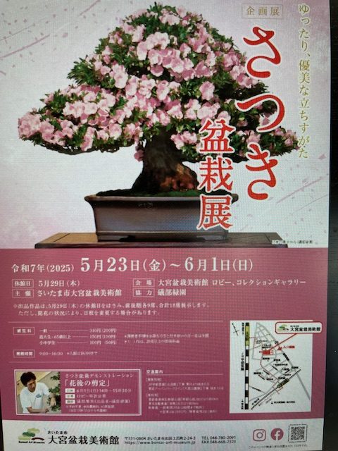 芸術とスポーツに触れて