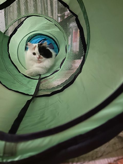 1歳になりました