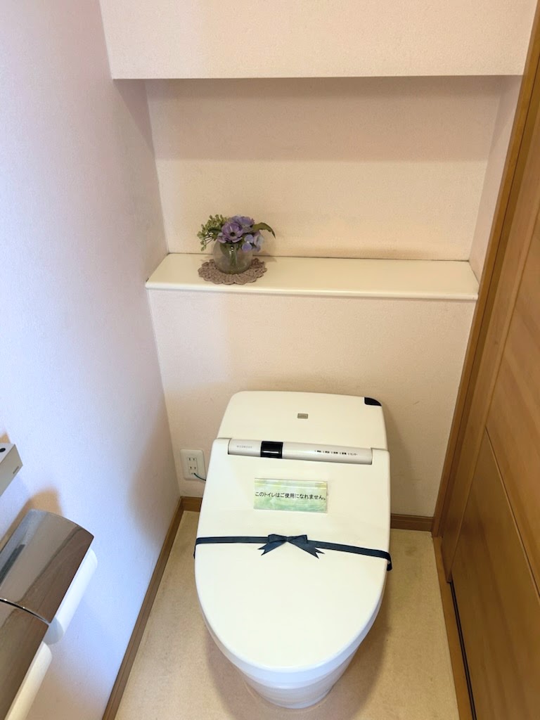 キレイになりました🐤