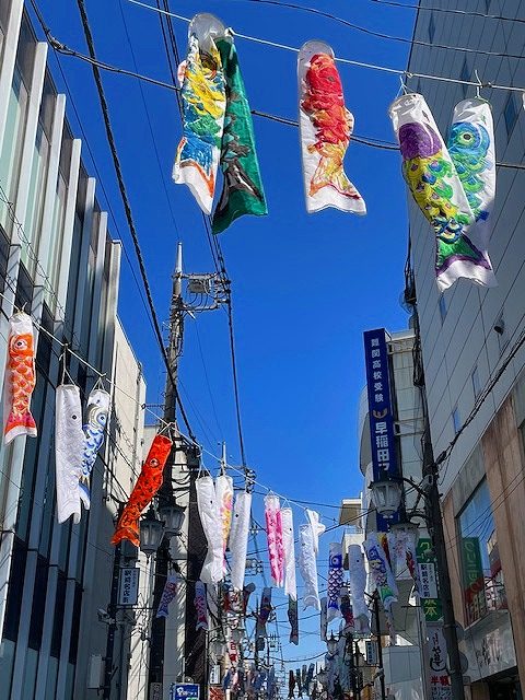 鯉のぼりに想いを重ねて