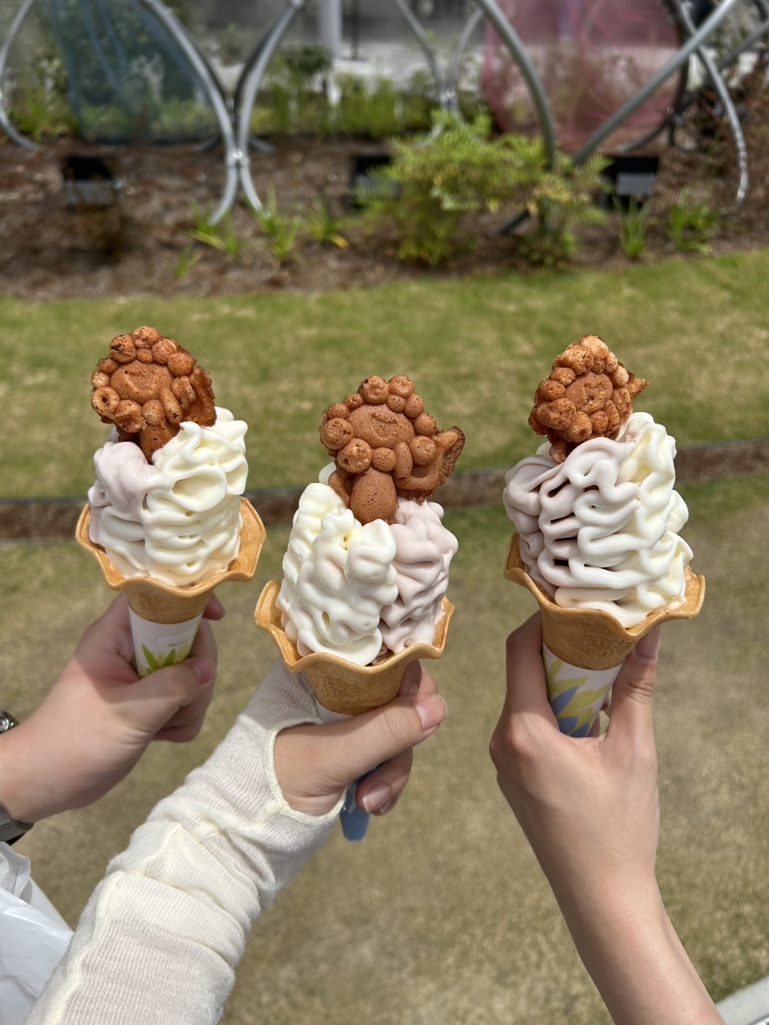 ６月の充実した思い出✨