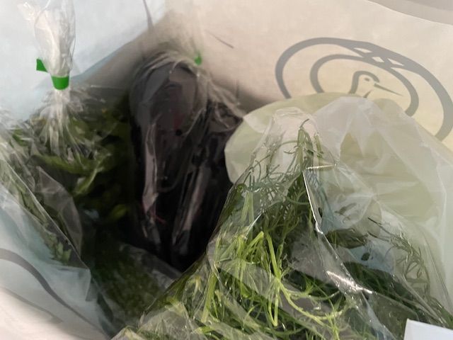 夏野菜をいただきました。