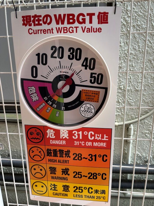 夏、がんばって乗り越えましょう🔥