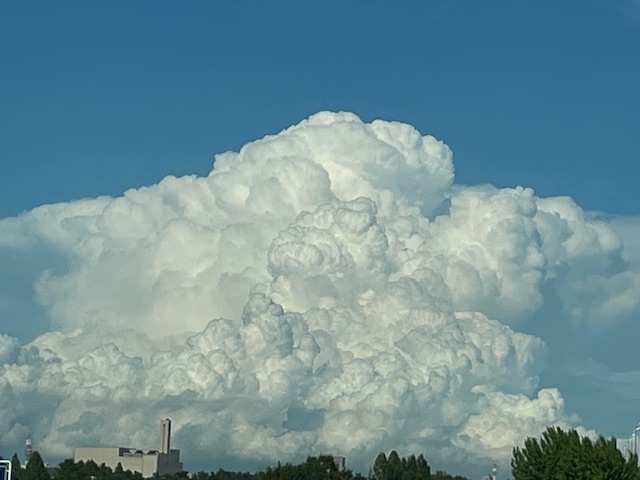８月８日「暑すぎる夏を終わらせる日」