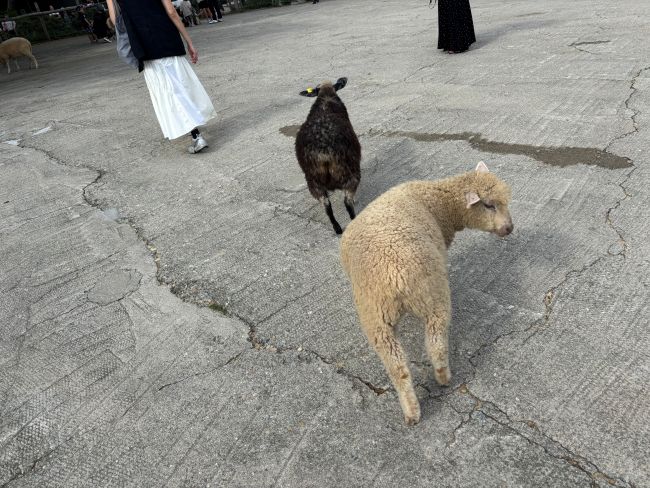 夏休みのひととき