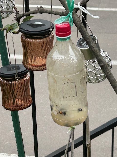 手作りトラップ