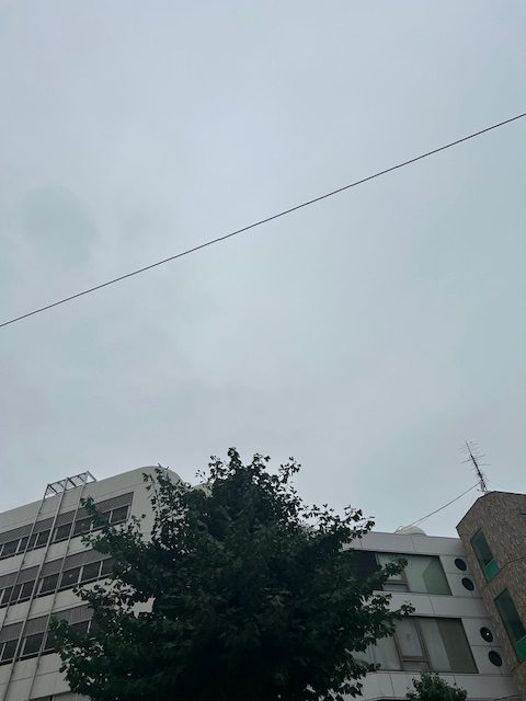 降りそうで降らない☔