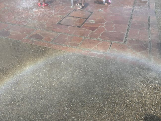 会社近くにオープン！