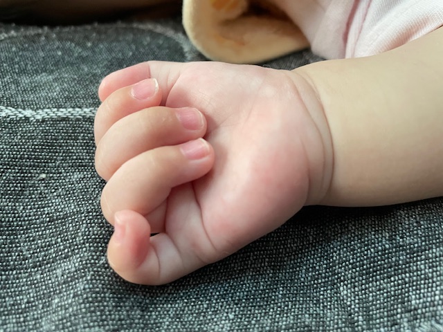 敬老の日を迎えて