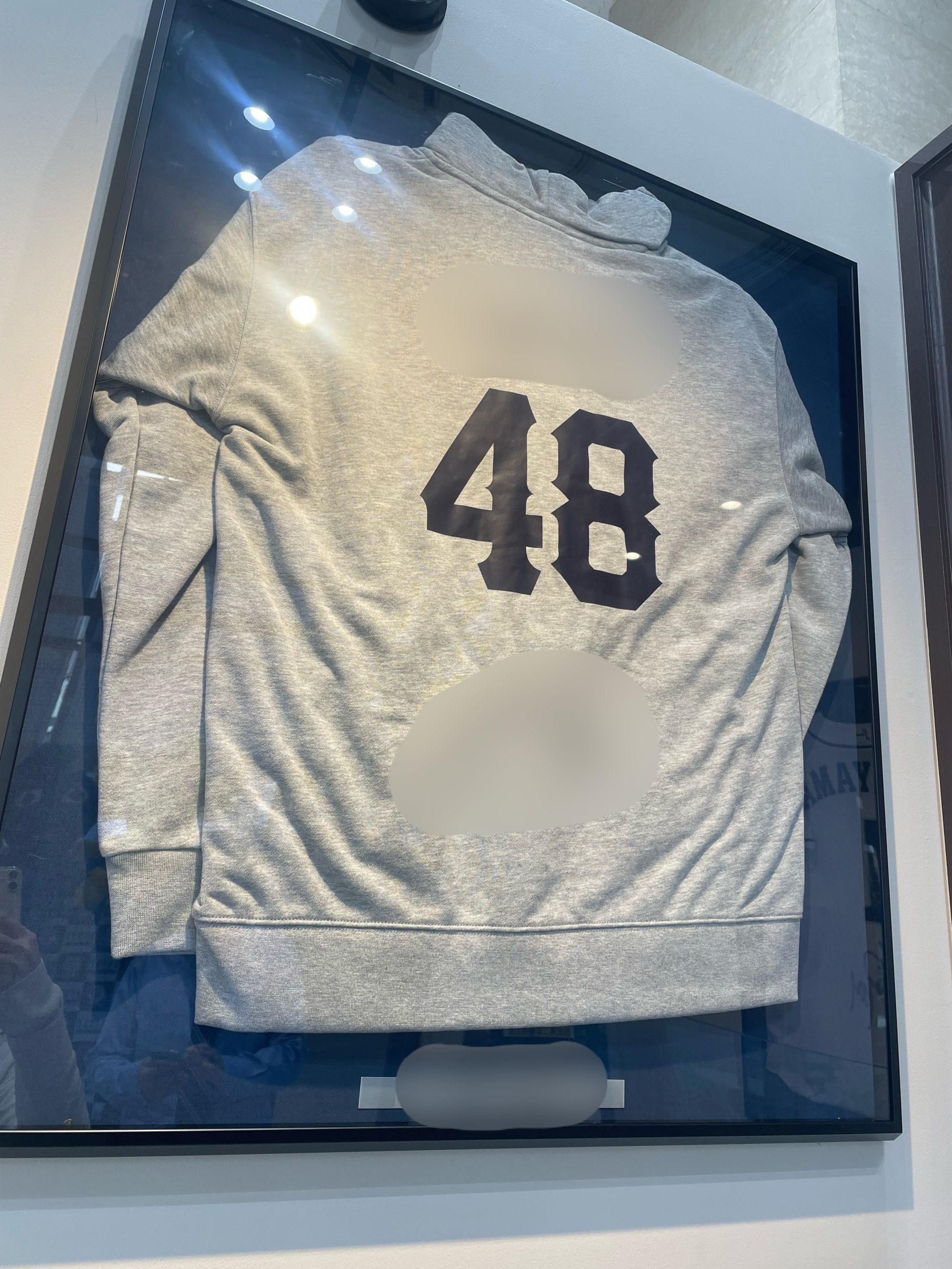 ⚾✨祝１周年✨⚾埼玉西武ライオンズコーナー　