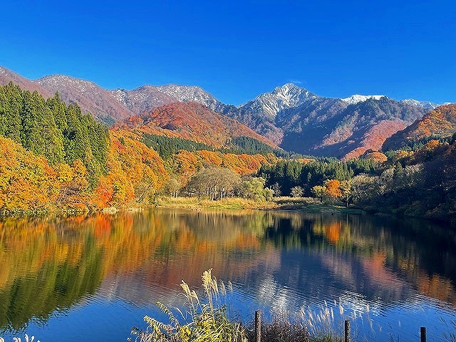 雪国の秋でTHINK