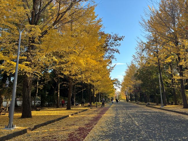 【埼玉おすすめスポット】🍂
