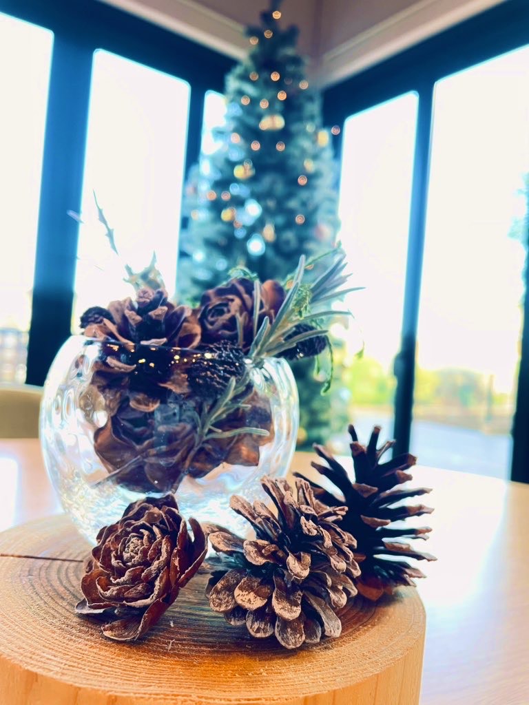 クリスマスが今年もやってくる~♪🎄