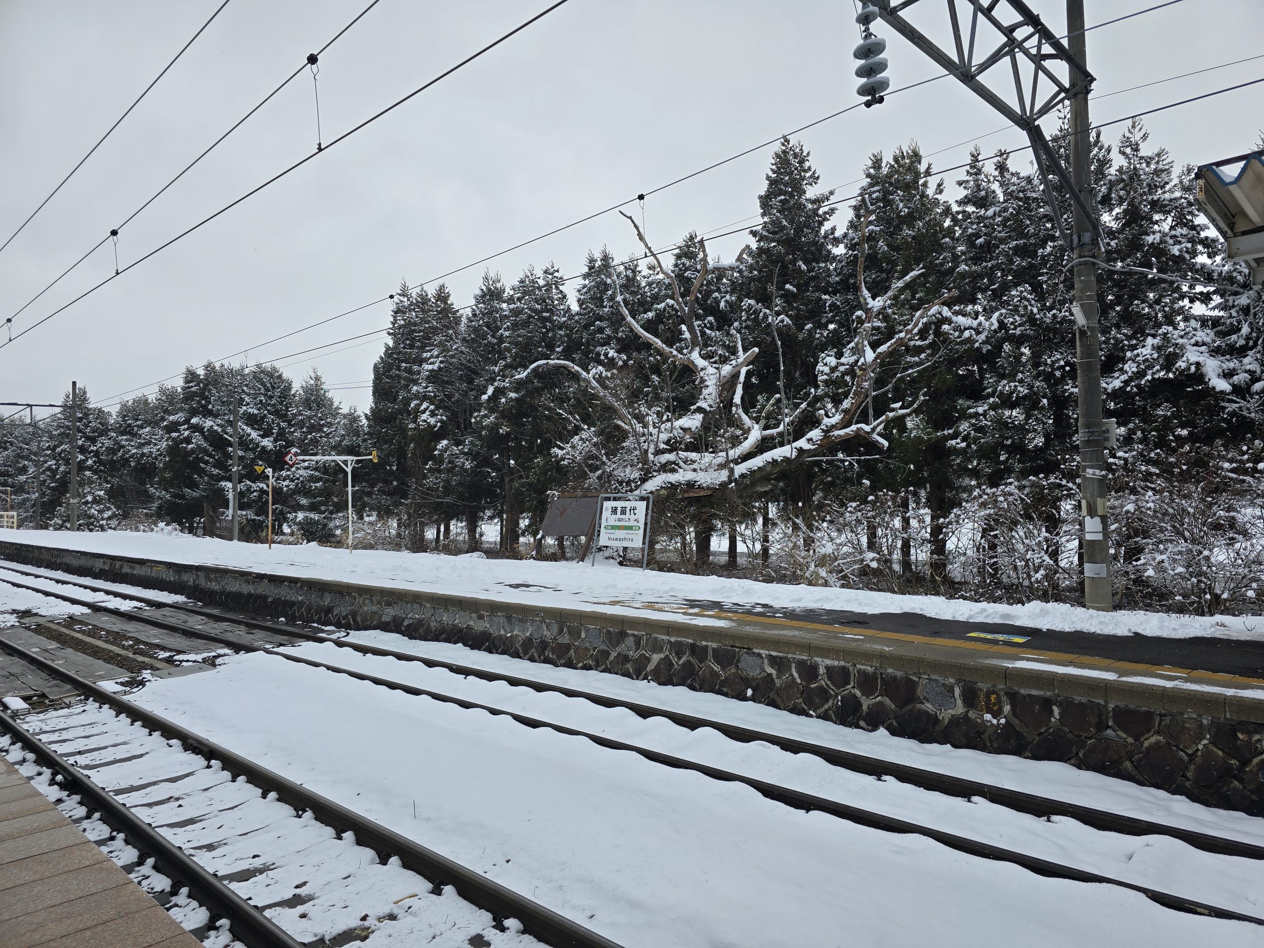 あけましておめでとうございます🐎