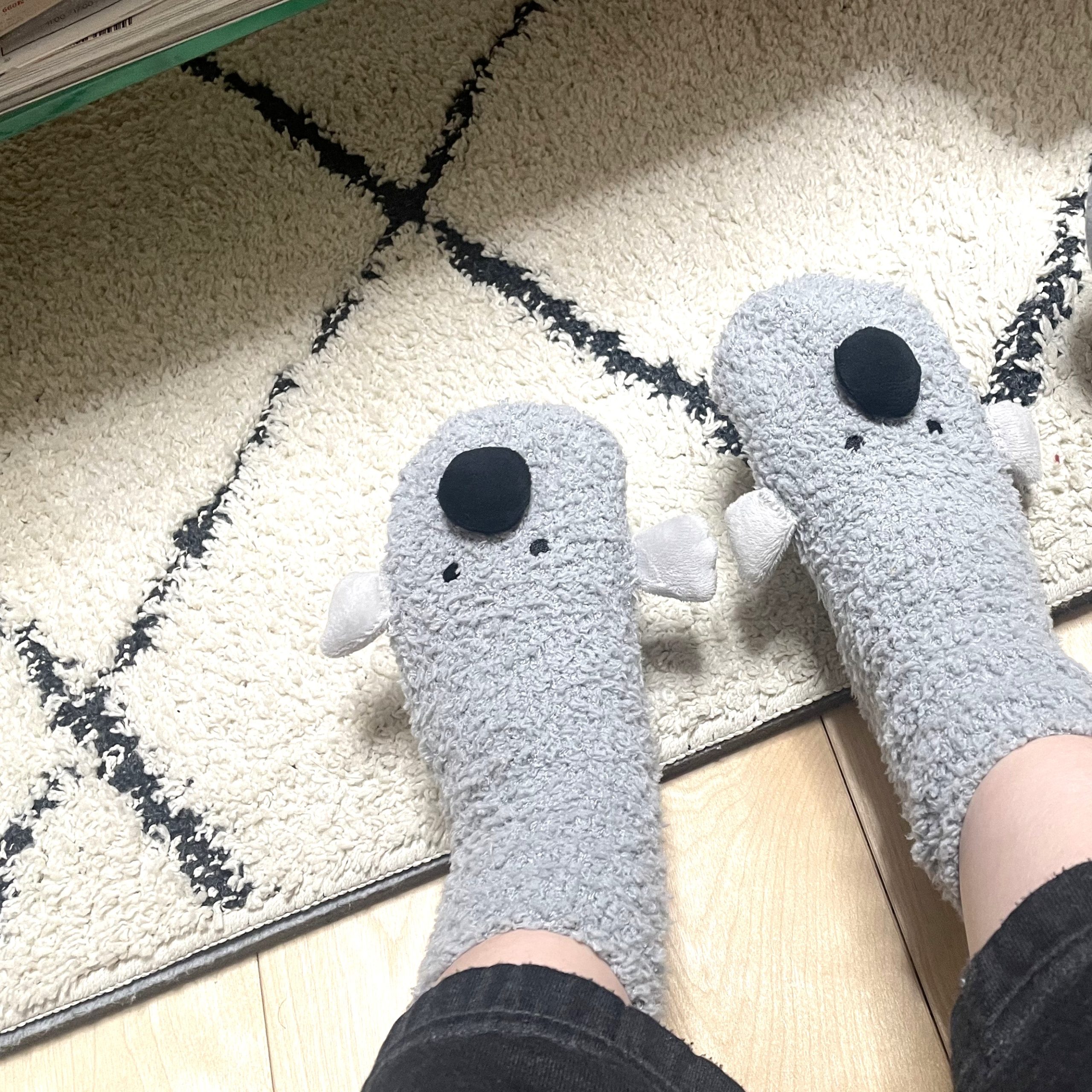 ぬくぬくつした🐨