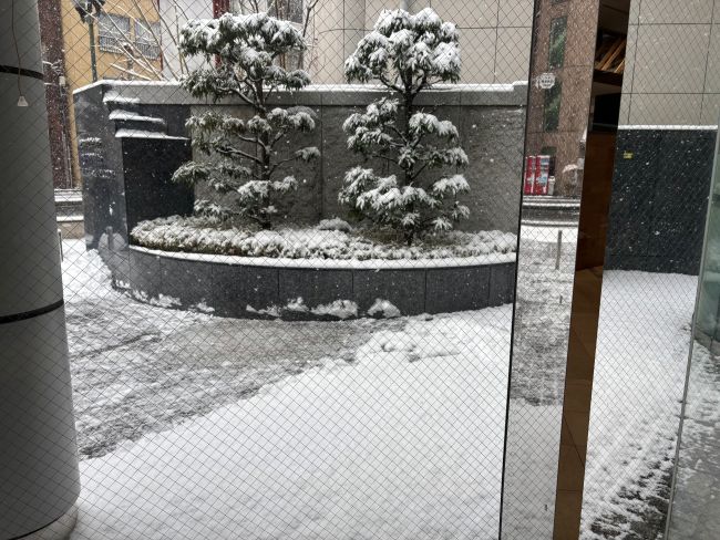 雪⛄