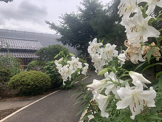 はるぱてお大宮新築工事の現場