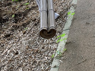 竹林のある福祉施設