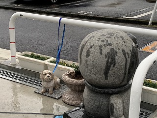 インターンシップとオンラインセミナー