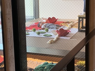 スタジオでおひるねアート