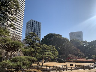 今日は終日勉強会
