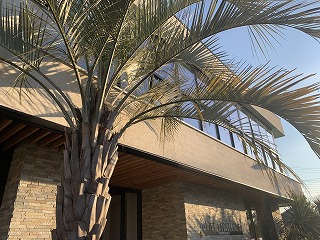 LIFE FIT STUDIO