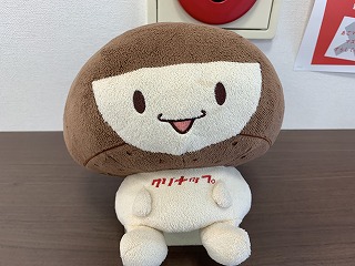 ショールームの見学