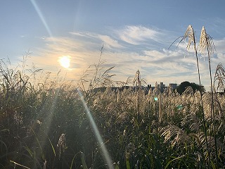 2022年10月31日