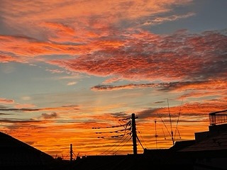 s-IMG_8159_20230912045620a18.jpg