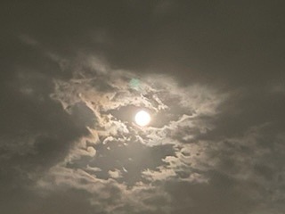 s-IMG_8419.jpg
